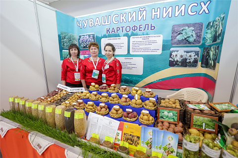 XV межрегиональная выставка «Картофель-2023»